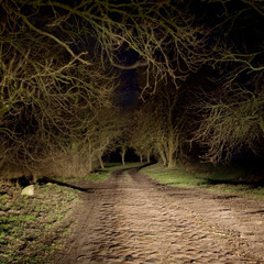 Cuba Comet Imperial: Fernlicht