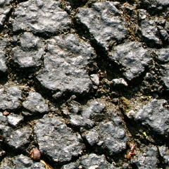 Head Bop Side to Side- Jesse Sawyer Smith