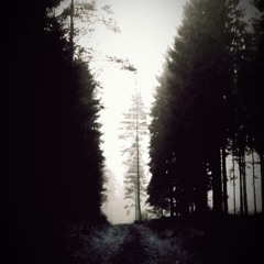 Anders Walldén - Platsen [Jurko Haltuu Version]