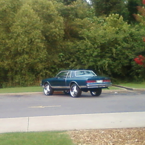 xXGANGS74Xx