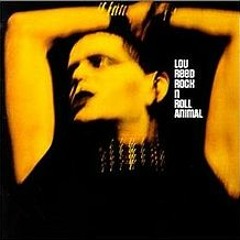 "Rock 'n' Roll" - Lou Reed (vinyl)