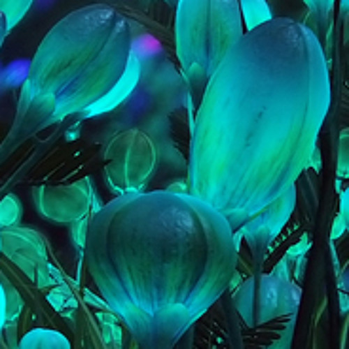 Champa & Mechanimal - Avatara (c) mp3 Sample