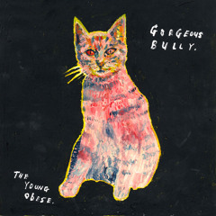 Gorgeous Bully - Never Cry