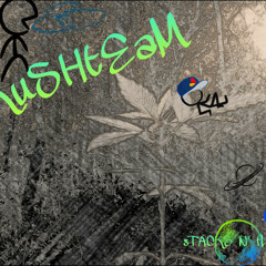 Break it Down(roll up) - rICHsTACKS Feat FBV