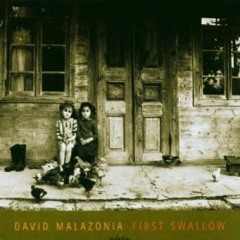 David Malazonia - Album: First Swallow - Track "Farewell"