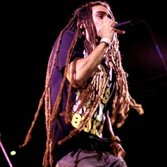 rootsbrasil