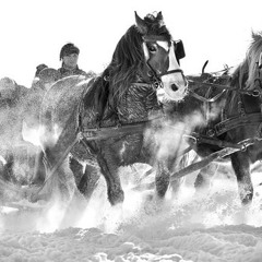 Come On Sled