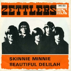 The Zettlers - Skinnie Minnie