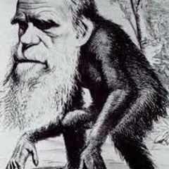 Sebastian Haller & Nasser - Satira (2012-zeckbeats)