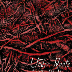 06 Viene Viene Va con Xeca Flow