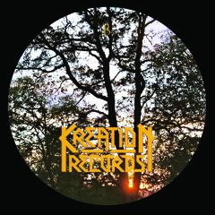 Solace Beneath a Greying Sky