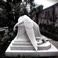 Fallen Angel