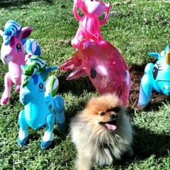 Vinyl set opening Sunset SF Park party in Los Angeles 2015