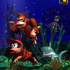Aquatic Ambience - Donkey Kong Country