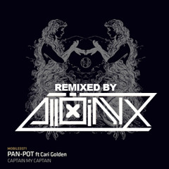 Pan-Pot - Captain My Captain (Alloinyx Remix)