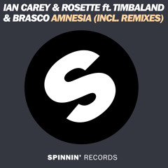 Ian Carey & Rosette feat. Timbaland & Brasco - Amnesia (Yves V Remix) (Preview)