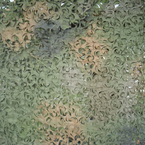 Tanz in den Frühling