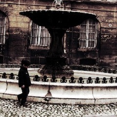 Shy, Low - Confirmation Bias