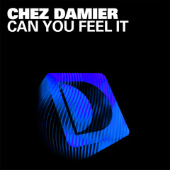Chez Damier "Can You Feel It" (Supernova Remix)
