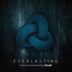 GAUDI - AAVV EVERLASTING (Iboga Records 2012)  teaser