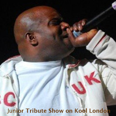 Junior Tribute Show with Billy Daniel Bunter, Whizzkid, Vibes, Force, Styles, Breeze & Slipmatt