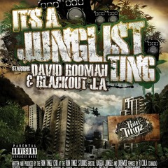 Run Tingz Cru ft. David Boomah & Blackout J.A - It's a Junglist Ting (HoT Remix)
