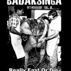 12 powerviolence or die