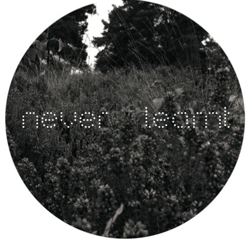 Nyra - Best of - Never Learnt 001