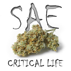 01 - SAE feat LOBITA - FELIZ