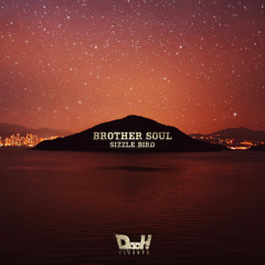 Sizzle Bird - Brother Soul