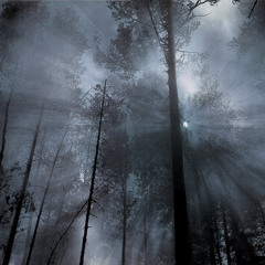 Coruja - On a foggy night (Vinyl Set)