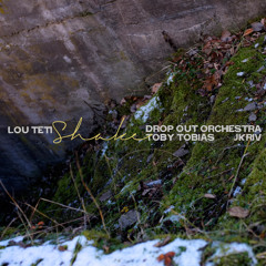 Lou Teti - "Shake (Drop Out Orchestra Remix)"