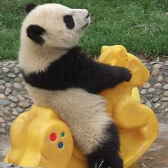 DJ Lee *PaNdA* Feat. Mya Ghetto Superstar (Remix)