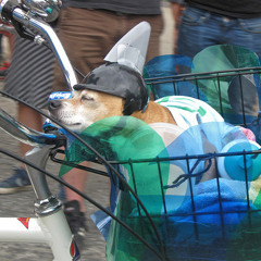 Kleine Keffer & Diggward - De Bonte Hond