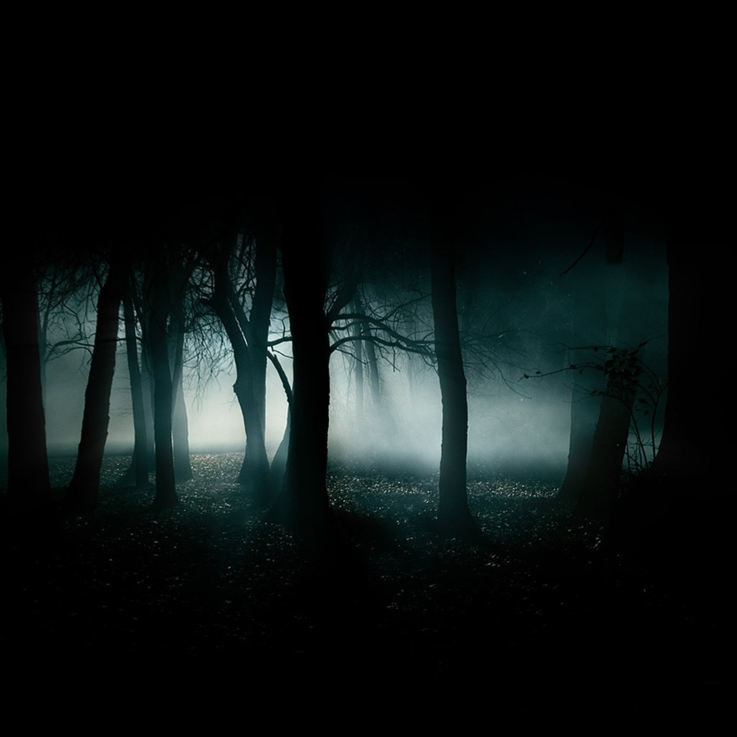 Sleep episode artwork