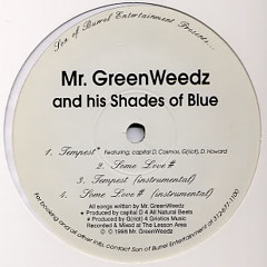 Mr. Greenweedz - Tempest (prod. by Capital D)