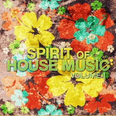 SOULFUL DEEP HOUSE : SPIRIT OF HOUSE MUSIC " NEW EDITION" 2012