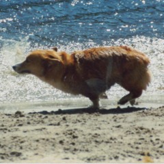 "Find the River" by R.E.M.