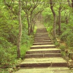 From Dust To Mountains - Straw Dogs (Demo)