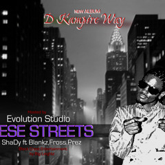 Shady Ft Fross,Blankz,Prez - These Streets (Edit)