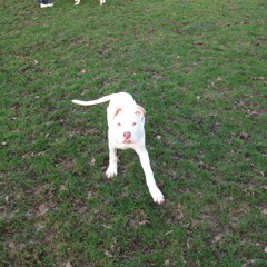 Ace Of Base - All That She Wants (Admix 2011 DnB Remix)