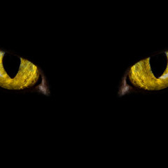 Both Eyes Open - Original Instrumental [Rough Mix] Prod. By Levi Washington