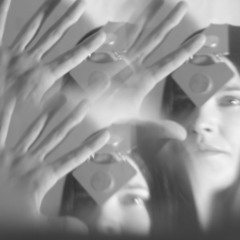 Arboles Muertos de Enero