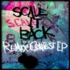 DJ Shadow - Scale it back (Blunt Instrument remix)