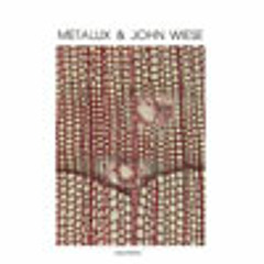 Metalux/John Wiese - Untitled#1
