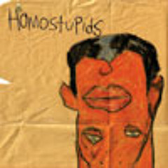 Homostupids - Night Time Flies