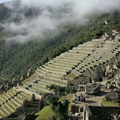 Biorhythms (and the distorted parameters of reality past, present and future)