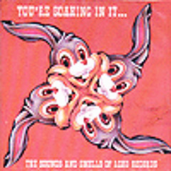 Lightning Bolt - A Diet of Grapes and Nuts