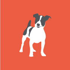 SweetJack Jingle 60 second