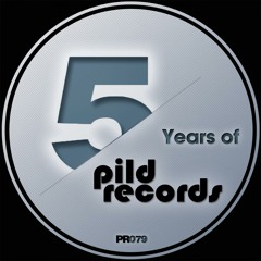 Ugur Project - Nikah Masasi ( Pild Records, Argentina )